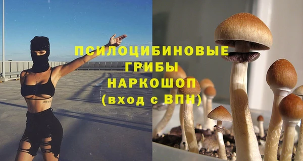 винт Заводоуковск
