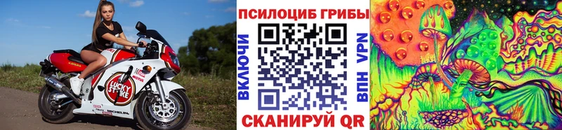 Псилоцибиновые грибы Psilocybine cubensis  Купить  Шуя 