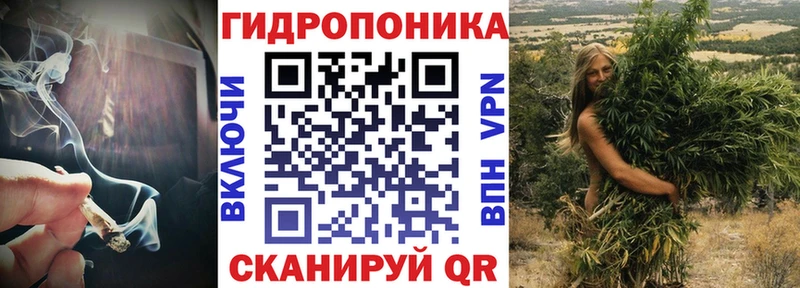 Купить закладки  Шуя  Канабис ГИДРОПОН 